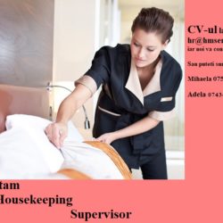 housekeeping super