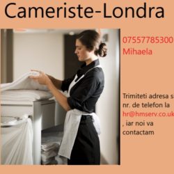 sustainable-cleaning-in-hotels