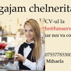 -waitress-224485